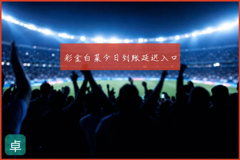 彩金白菜今日到账延迟入口