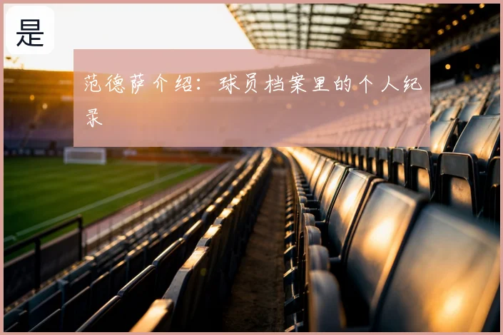 范德萨介绍：球员档案里的个人纪录