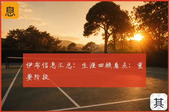 伊布信息汇总：生涯回顾看点：重要阶段